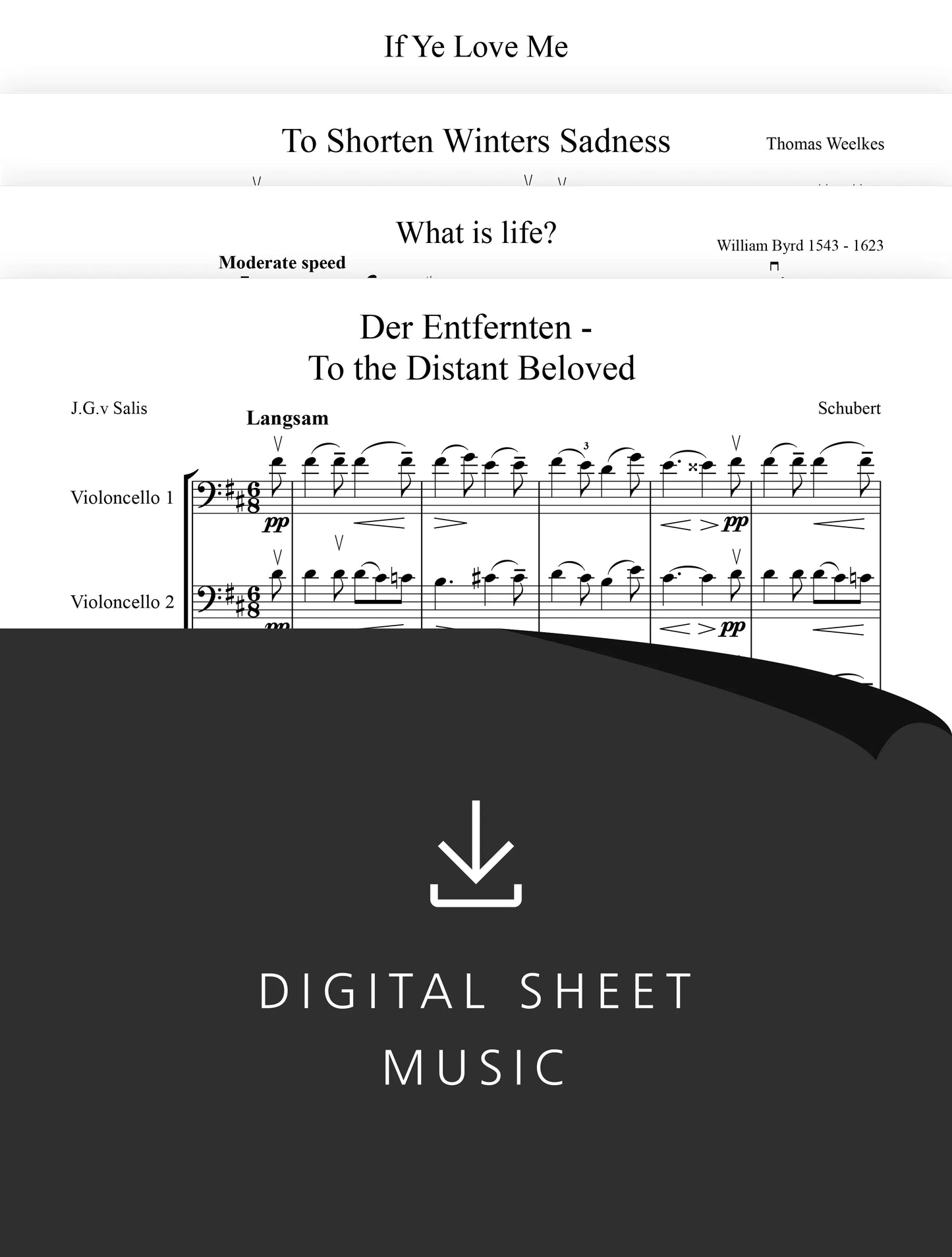 A Beautiful Bagatelle Bundle